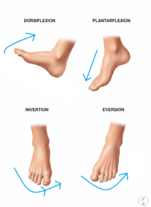 gemini generated foot movements