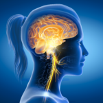 Polyvagal Acupuncture®: An Integrative Path to Nervous System Healing – Revised