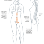 The Chong Mai: An Integrative Neurological Framework
